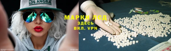 мдпв Белокуриха
