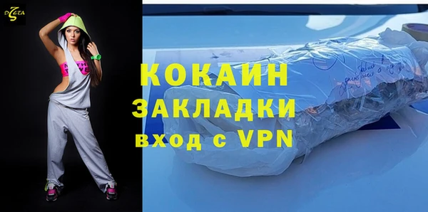 шишки Беломорск