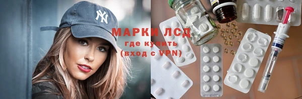 шишки Беломорск