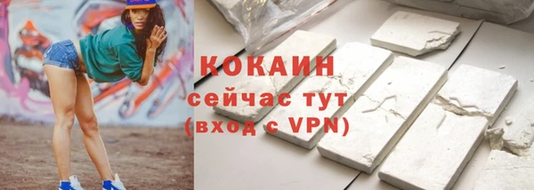 шишки Беломорск