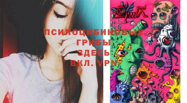 мдпв Белокуриха