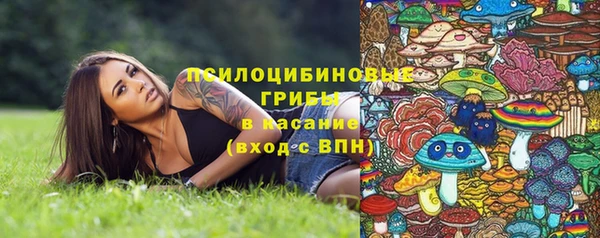 мдпв Белокуриха