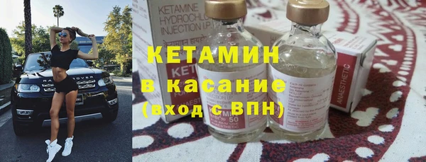 шишки Беломорск