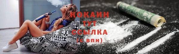 шишки Беломорск