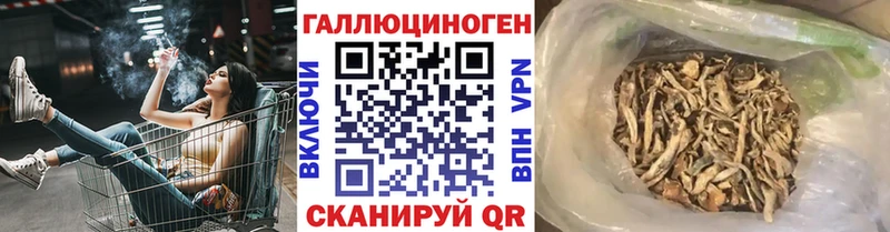 Галлюциногенные грибы прущие грибы  цена наркотик  ссылка на мегу ТОР  Высоковск 