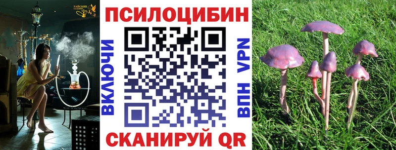 Галлюциногенные грибы Cubensis Высоковск